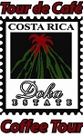 Doka Estate Coffee Tours