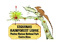 Esquinas Rainforest Lodge