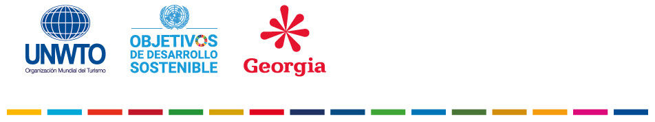 Consejo ejecutivo Georgia 2020