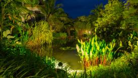 UNWTO Affiliate Members Corner: Leading the Decade of Public Private Partnership for Sustainable Tourism