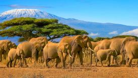 65th UNWTO Regional Commission for Africa