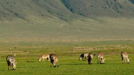 65th UNWTO Regional Commission for Africa