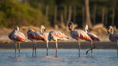 UNWTO Sets out Shared Goals and Opportunities for Tourism in Paraguay