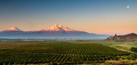 Viñedo Ararat