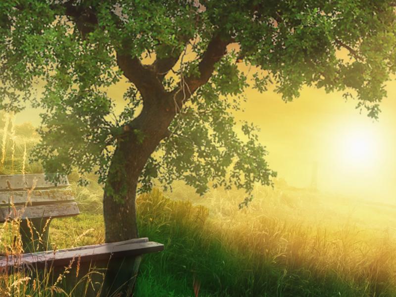 Resilience of tourism